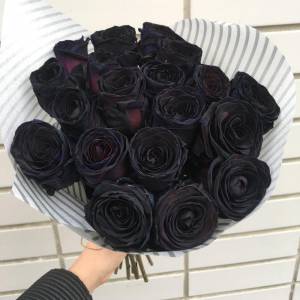 Букет 17 черных роз с оформлением R833